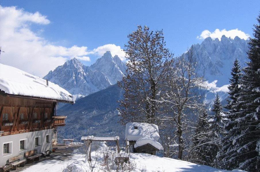 Glinzhof Mountain Natur Resort Agriturismo San Candido Eksteriør bilde